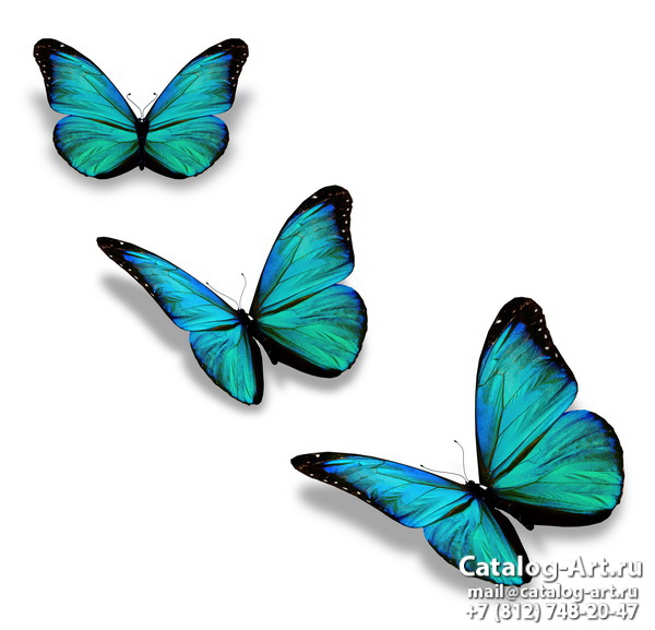  Butterflies 44